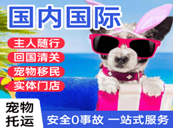 凤凰机场快递国际宠物托运 【国